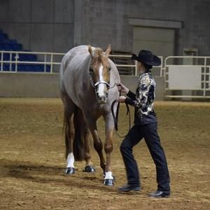 Meet your Posher, Whitney